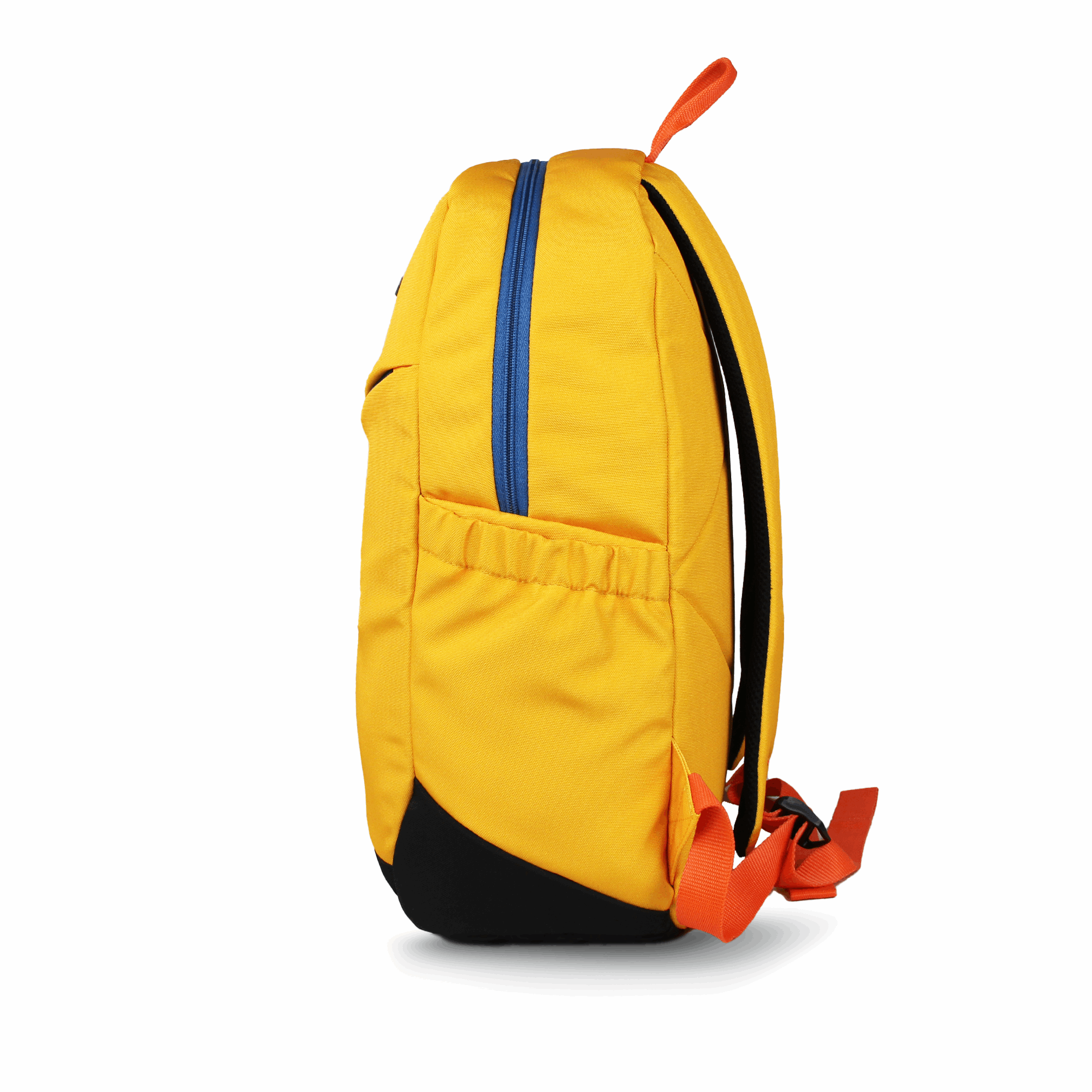Fineapple Backpack